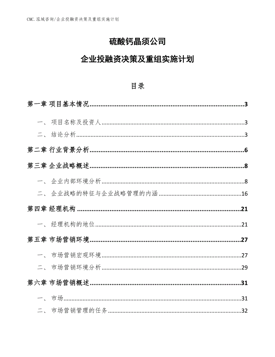 硫酸钙晶须公司企业投融资决策及重组实施计划（范文）_第1页