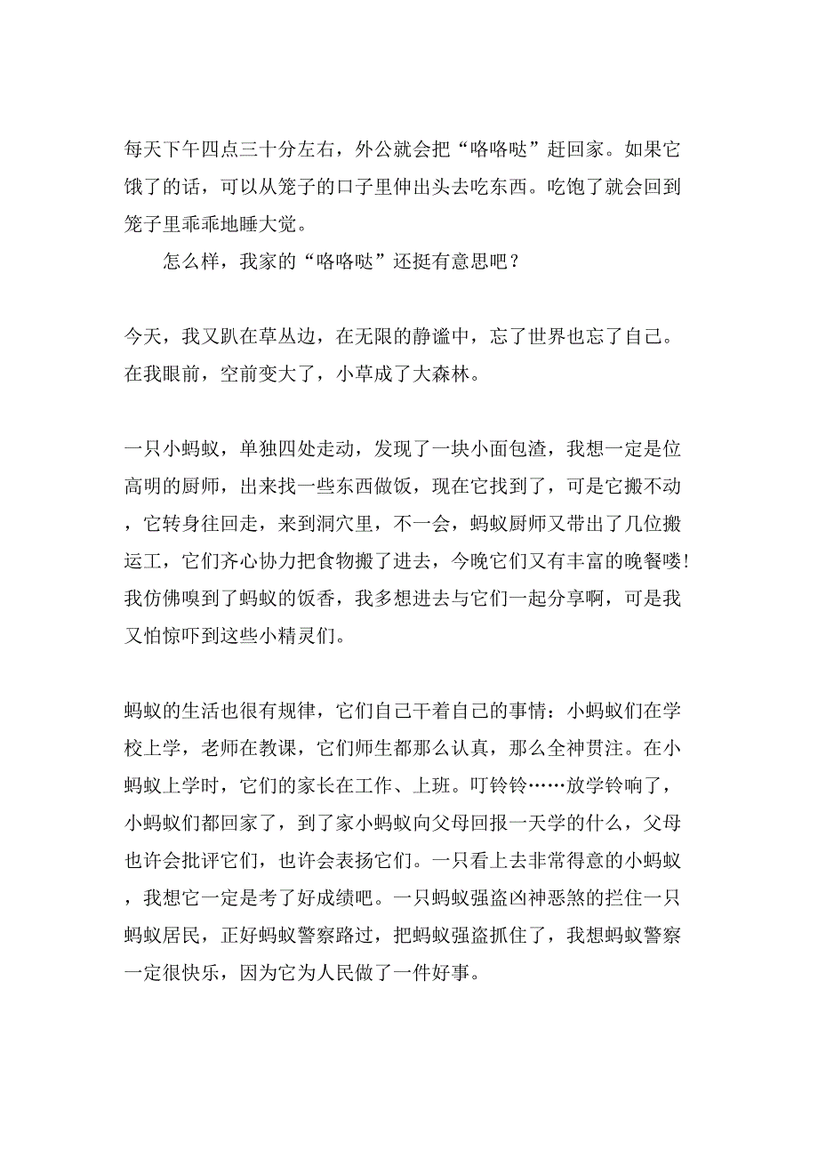 小学生观察作文400字集合十篇_第3页