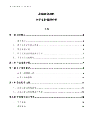 高端家电项目电子支付管理分析（模板）