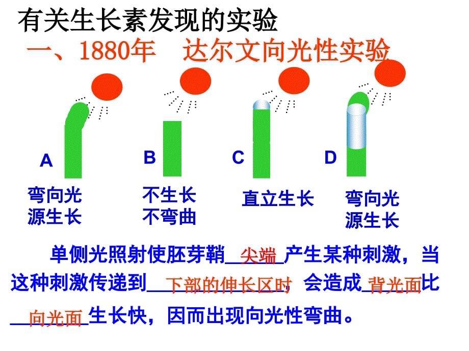 高中生物必修三植物的激素调节培训课件_第5页