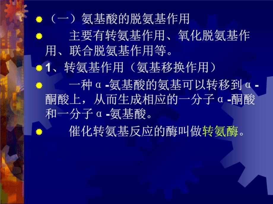 蛋白质促降解与氨基酸代谢v说课材料_第4页