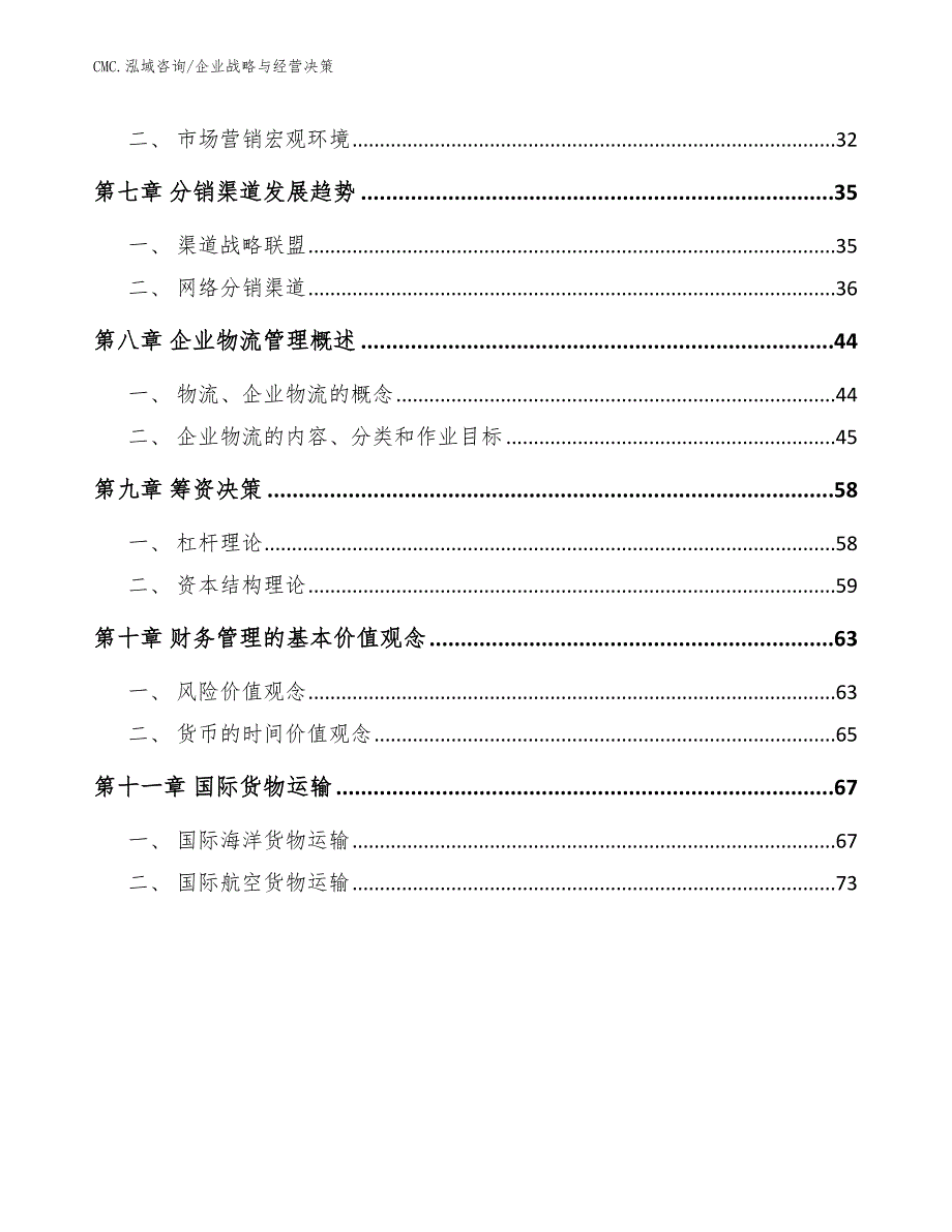 铝塑膜项目企业战略与经营决策（模板）_第2页