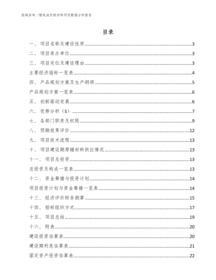 锂电池负极材料项目数据分析报告（范文参考）_第1页