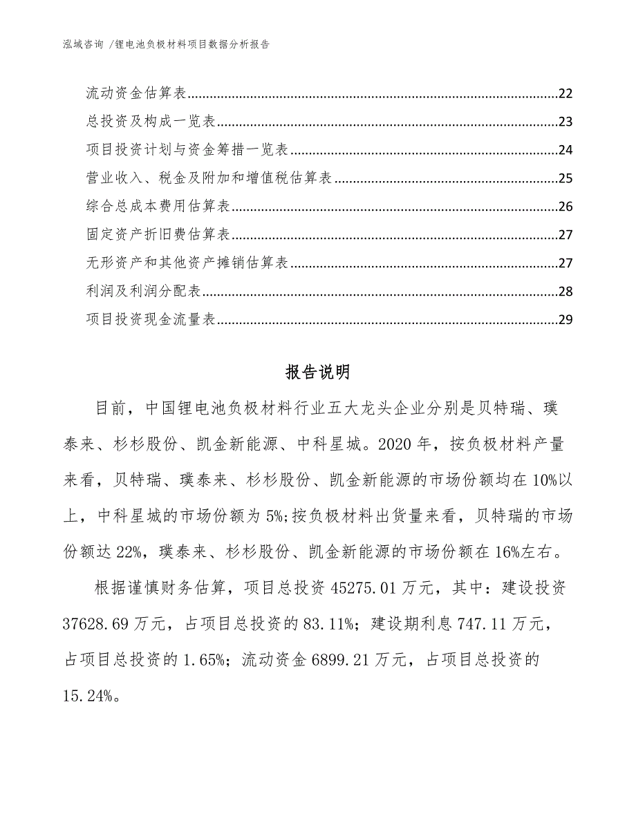 锂电池负极材料项目数据分析报告（范文参考）_第2页