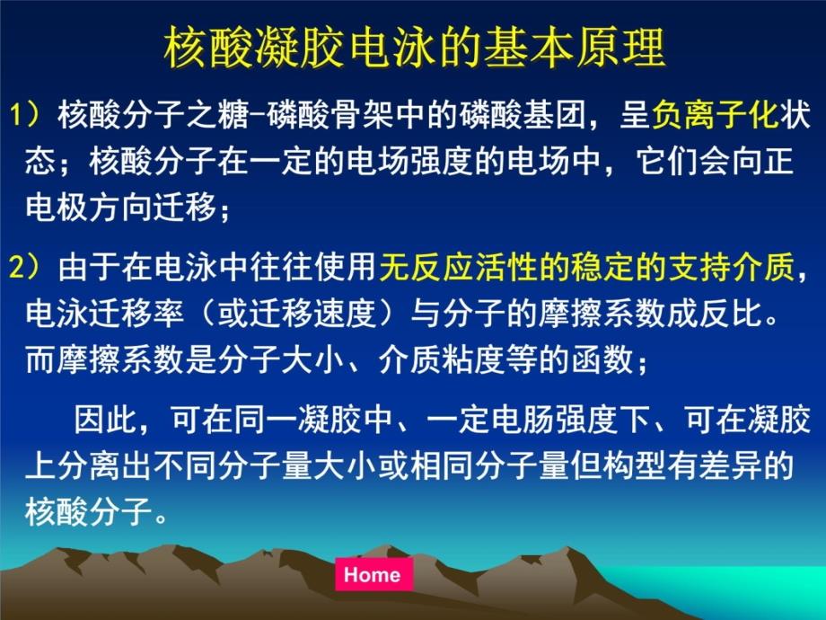 核酸的凝胶电泳p教程文件_第4页