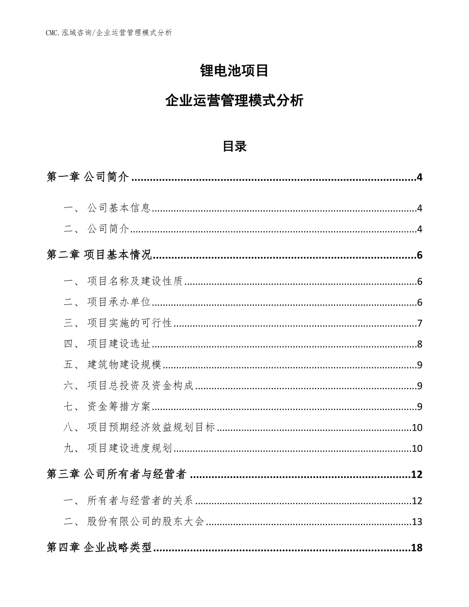 锂电池项目企业运营管理模式分析（模板）_第1页