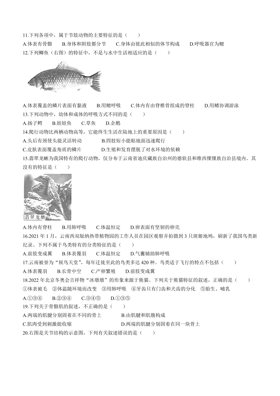 云南省红河州元阳县2021-2022学年八年级上学期期末生物试题（word版 含答案）_第2页