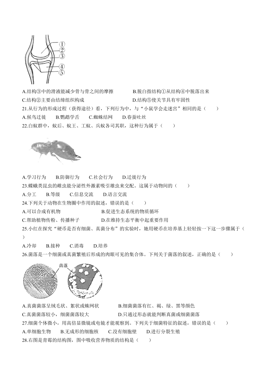 云南省红河州元阳县2021-2022学年八年级上学期期末生物试题（word版 含答案）_第3页