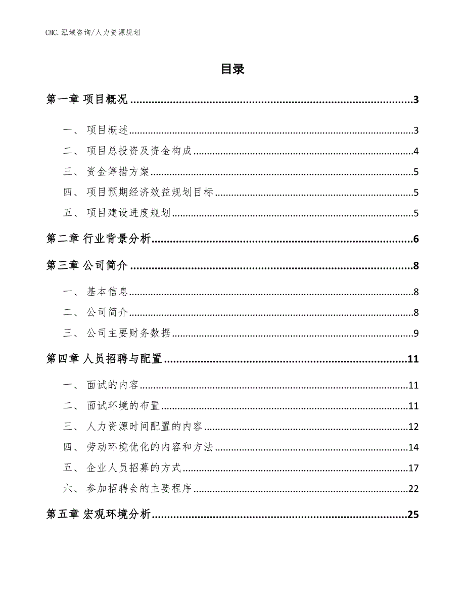 软体家具公司人力资源规划（模板）_第2页