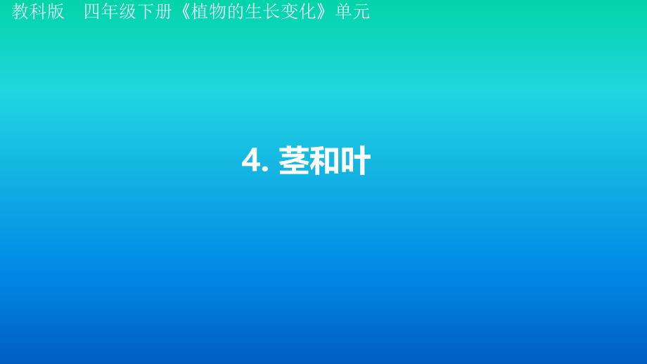 小学科学教科版四年级下册第一单元第4课《茎和叶》课件3（2021新版）_第1页