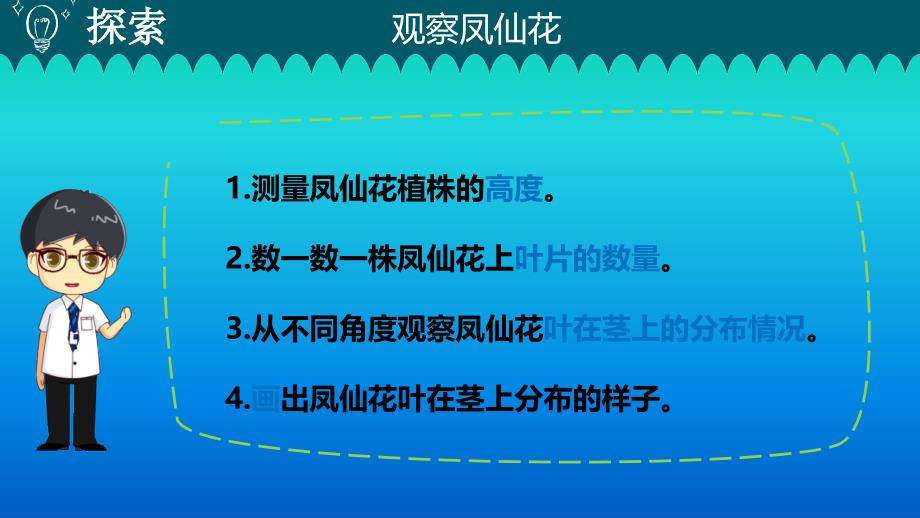 小学科学教科版四年级下册第一单元第4课《茎和叶》课件3（2021新版）_第3页