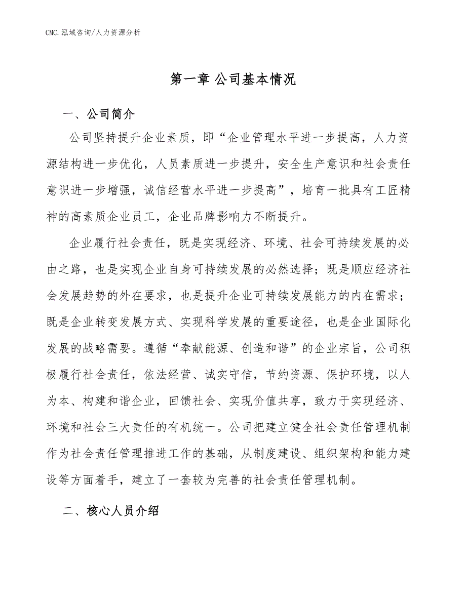 电竞椅项目人力资源分析（模板）_第3页