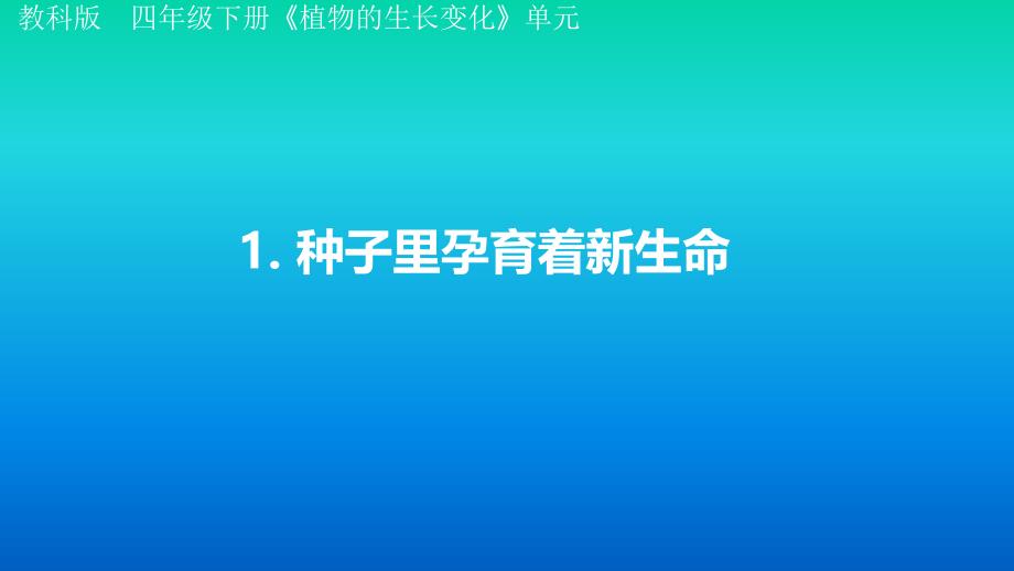 小学科学教科版四年级下册第一单元第1课《 种子里孕育着新生命》课件3（2021新版）_第1页