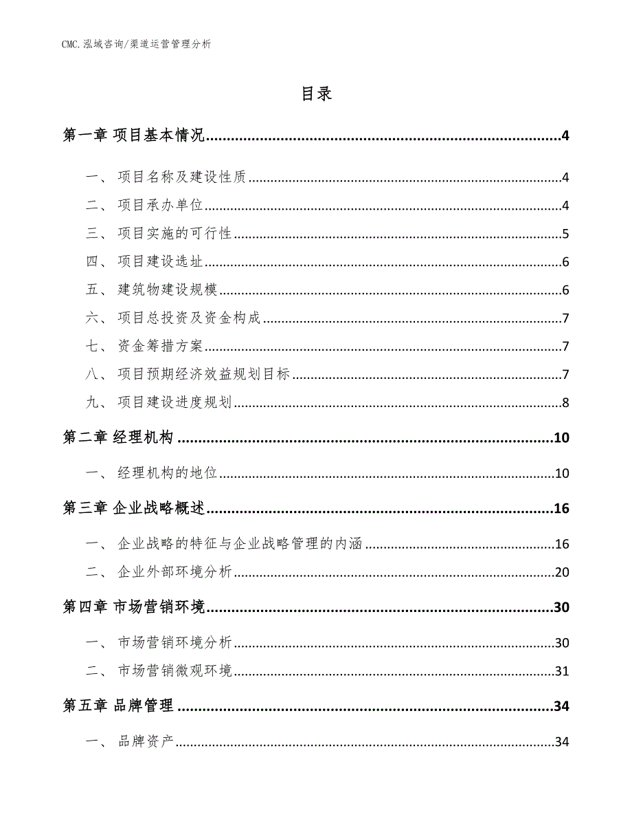 皮蛋项目渠道运营管理分析（模板）_第2页