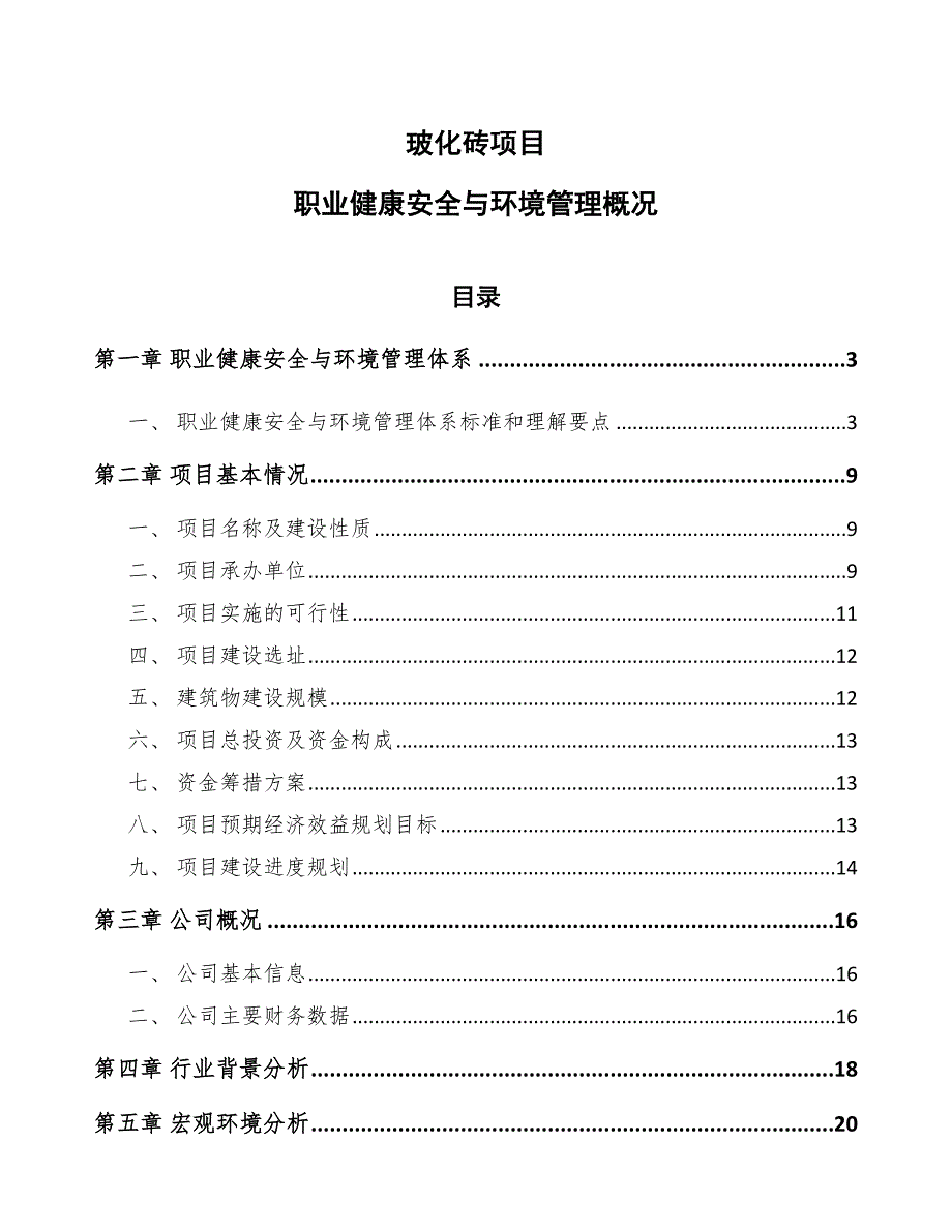 玻化砖项目职业健康安全与环境管理概况（参考）_第1页