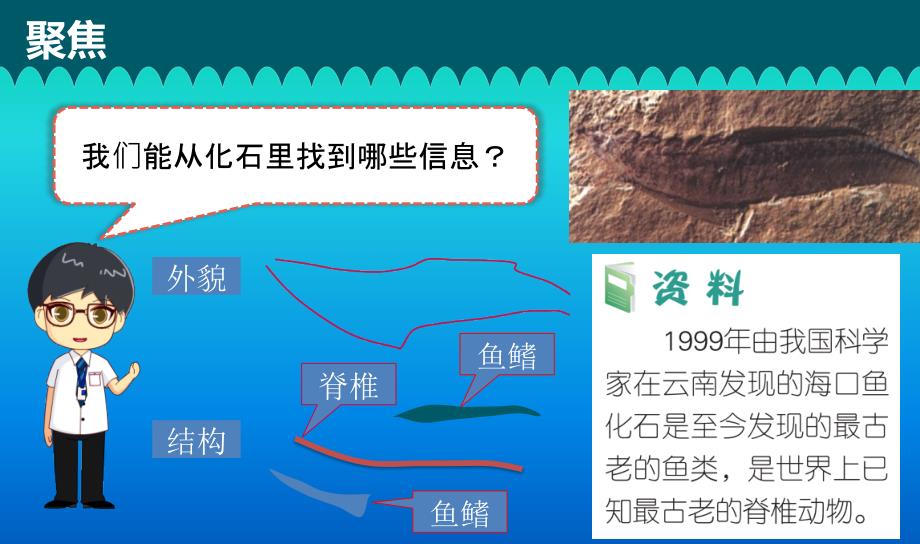 小学科学教科版六年级下册第二单元第6课《古代生物的多样性》课件（2022新版）3_第4页