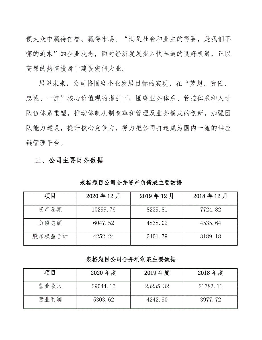 即装即用家具项目工程运营计划（模板）_第4页