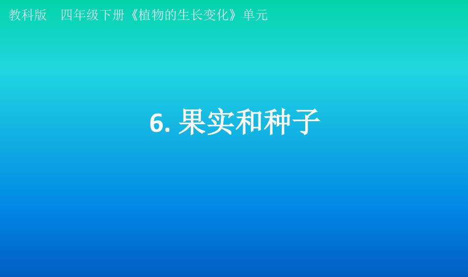 小学科学教科版四年级下册第一单元第6课《果实和种子》课件3（2021新版）_第1页