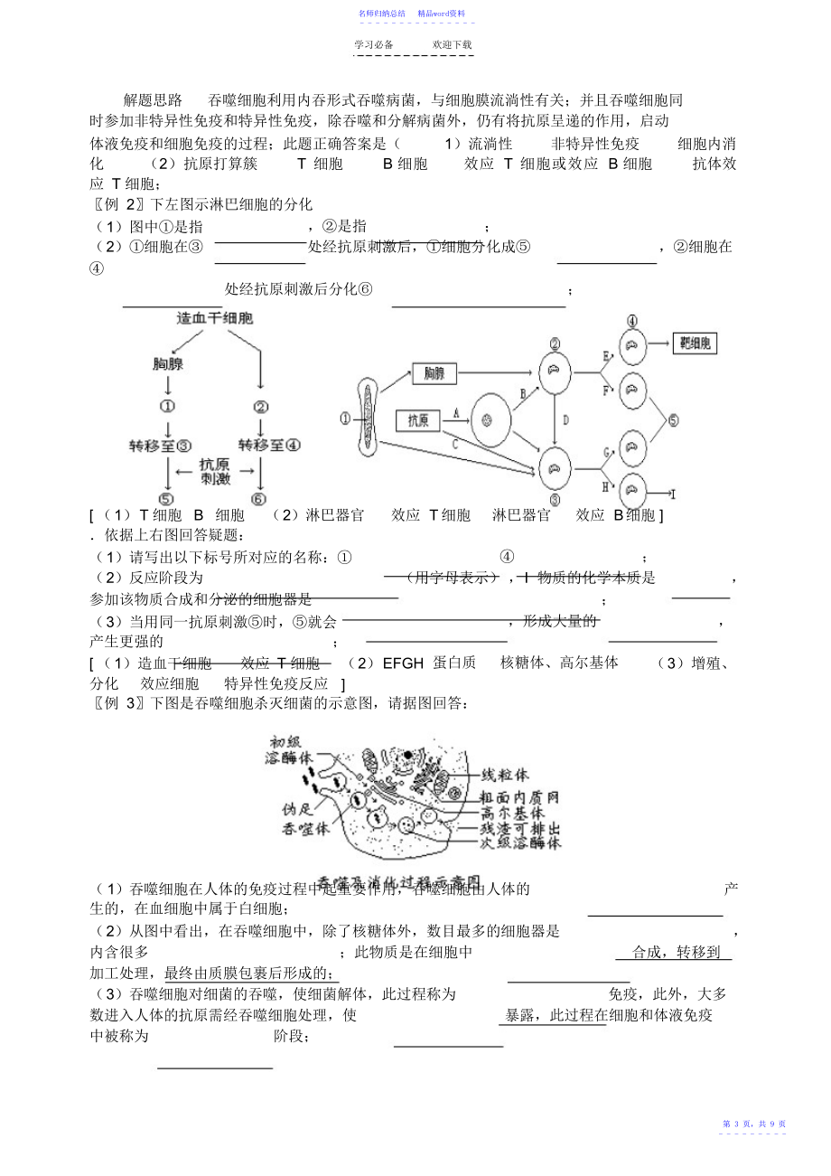 高三生物二轮复习学案生命活动的调节之人体的免疫苏教版_第3页