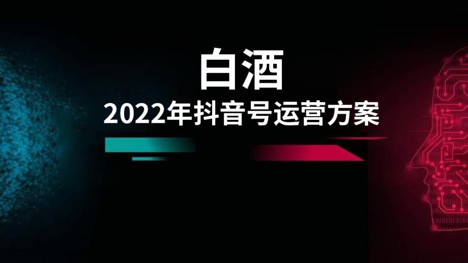 2022年白酒企业抖音号运营方案_第1页