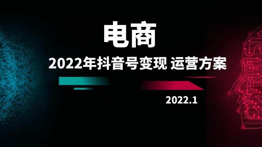 2022年电商行业抖音号运营方案_第1页