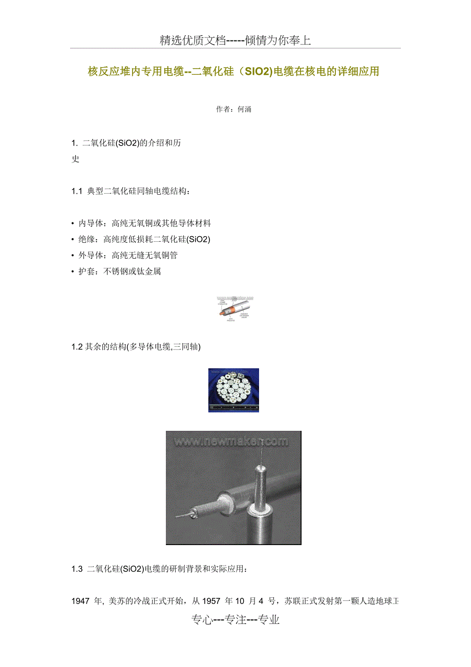 二氧化硅(SIO2)电缆在核电的详细应用(共12页)_第1页