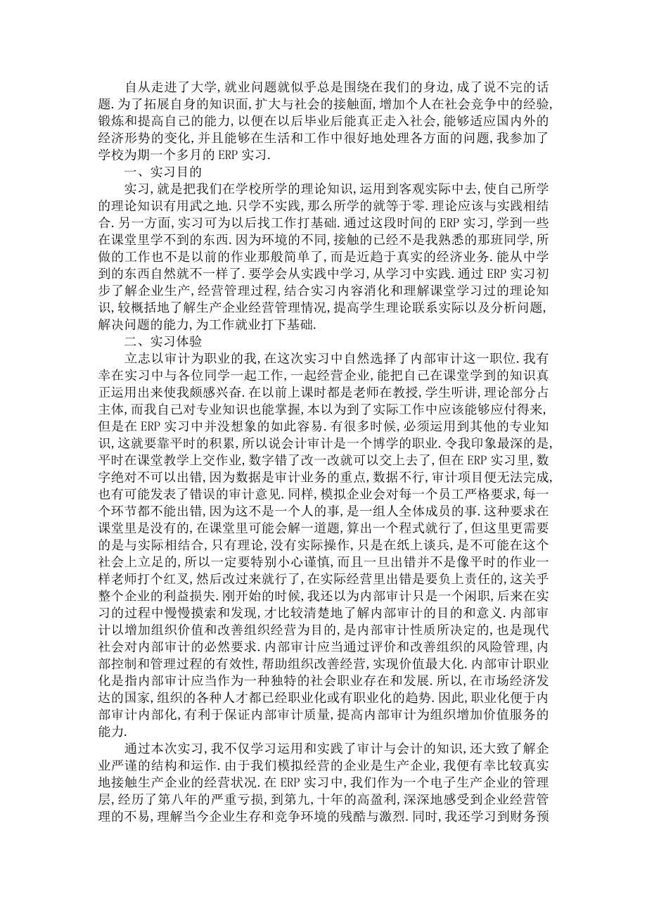 《审计的实习报告模板汇总八篇_1》_第5页