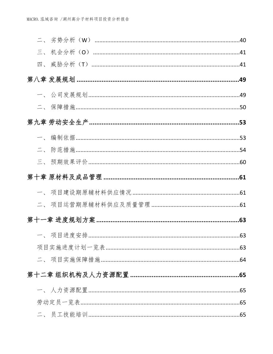 湖州高分子材料项目投资分析报告（模板）_第3页