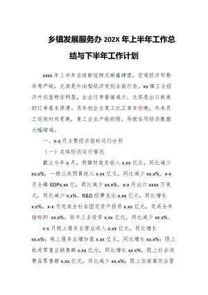 乡镇发展服务办202X年上半年工作总结与下半年工作计划