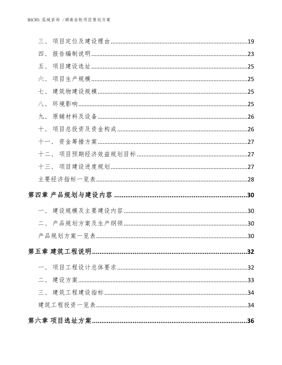 湖南齿轮项目策划方案参考模板_第3页