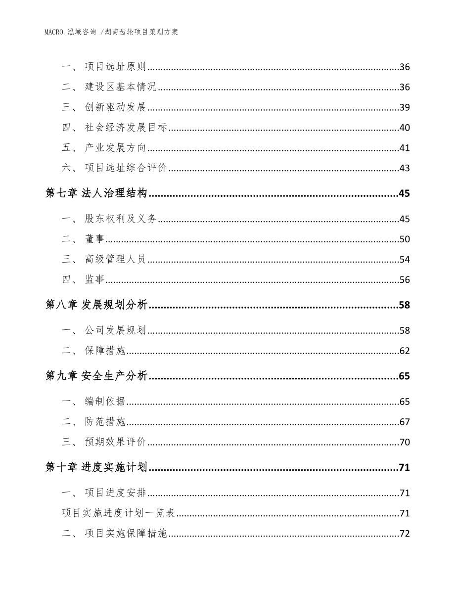 湖南齿轮项目策划方案参考模板_第4页