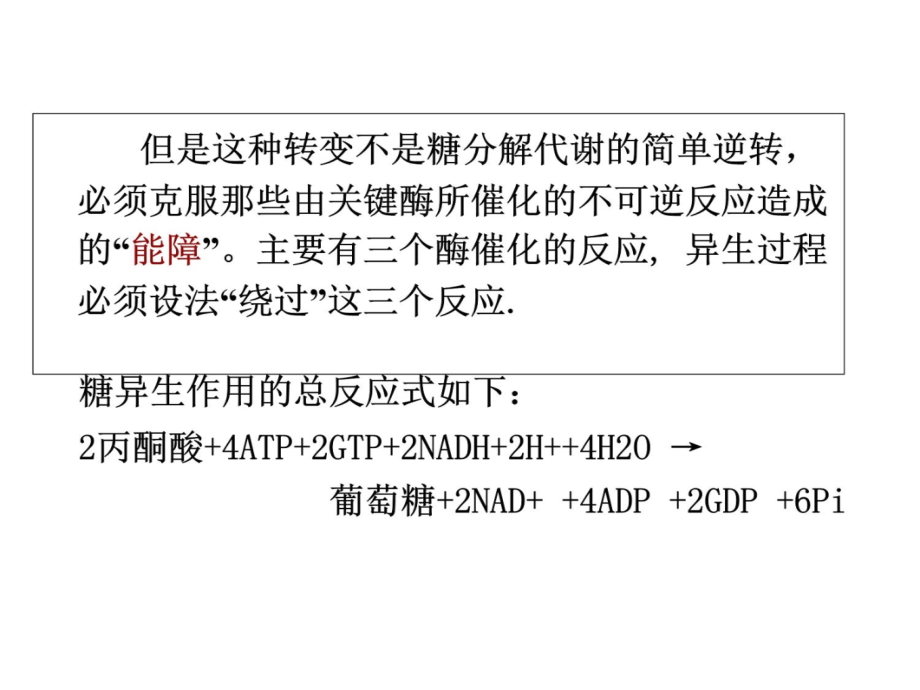 7糖代谢的其他途径2幻灯片资料_第4页