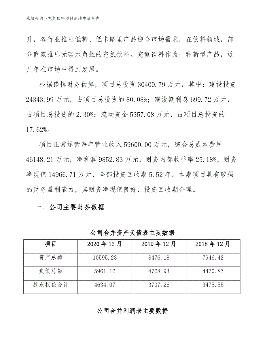 充氮饮料项目用地申请报告（参考模板）_第3页