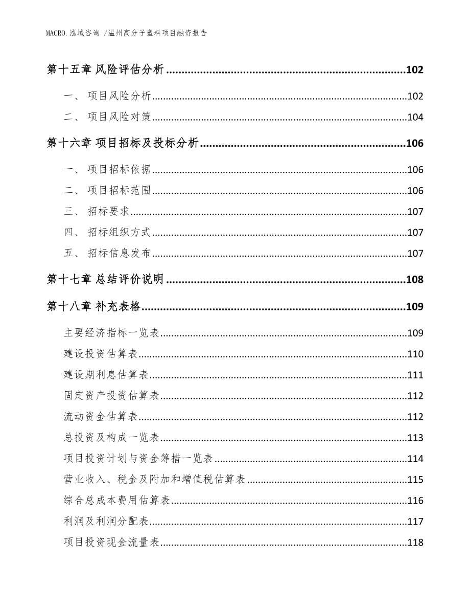 温州高分子塑料项目融资报告_参考范文_第5页