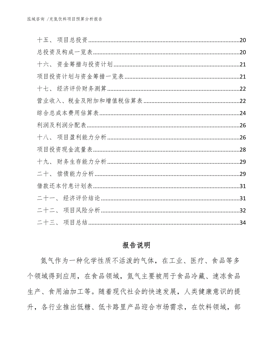 充氮饮料项目预算分析报告（模板范文）_第2页