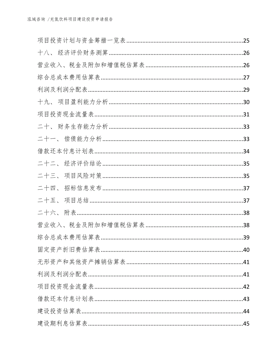 充氮饮料项目建设投资申请报告（模板参考）_第2页