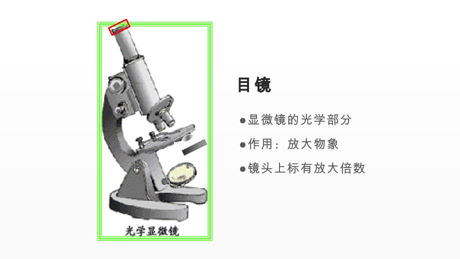 优质课《练习使用显微镜》一等奖课件_第4页