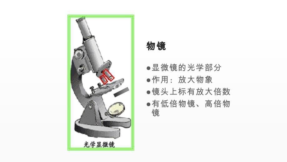 优质课《练习使用显微镜》一等奖课件_第5页