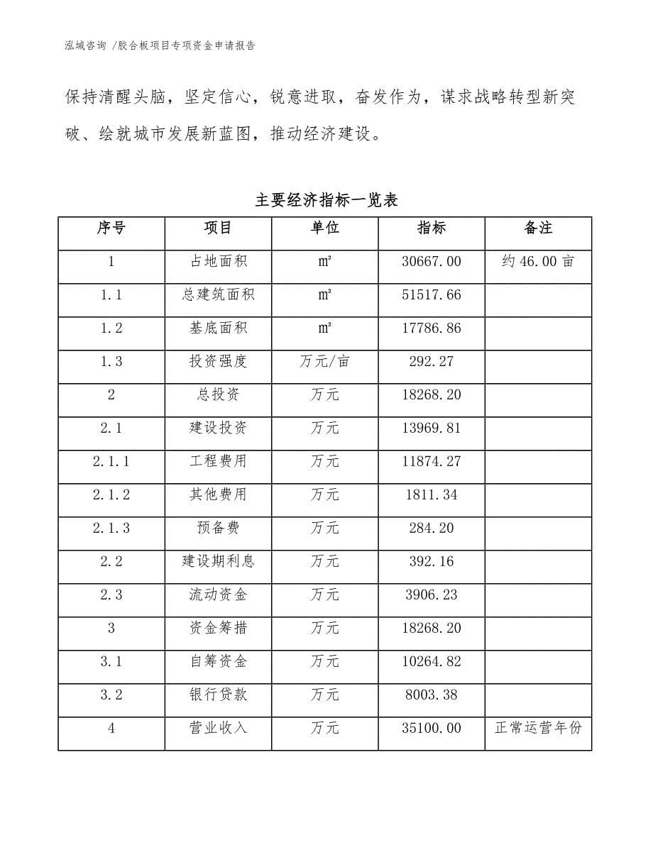 胶合板项目专项资金申请报告（模板参考）_第5页