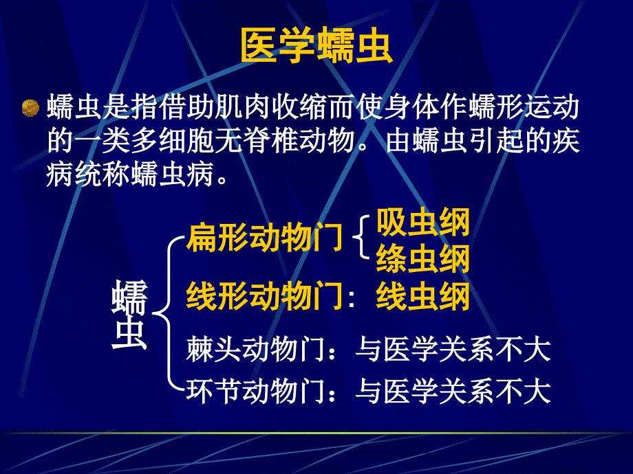 线虫概论、蛔虫及鞭虫教材课程_第2页