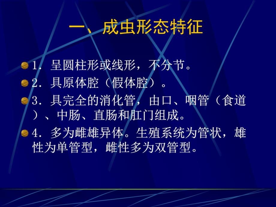 线虫概论、蛔虫及鞭虫教材课程_第4页