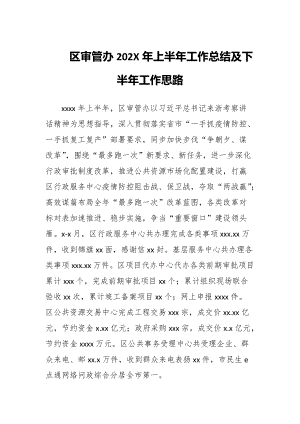 区审管办202X年上半年工作总结及下半年工作思路