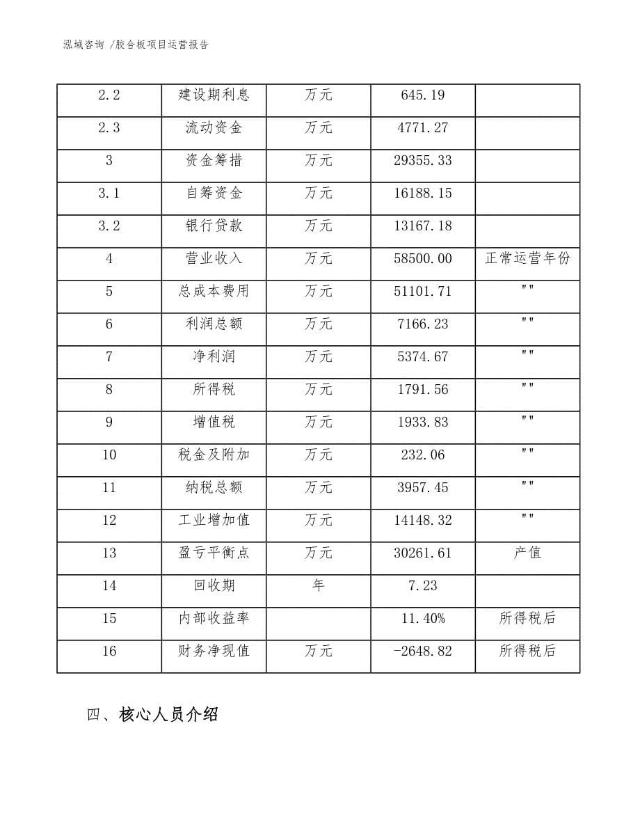 胶合板项目运营报告（范文）_第5页