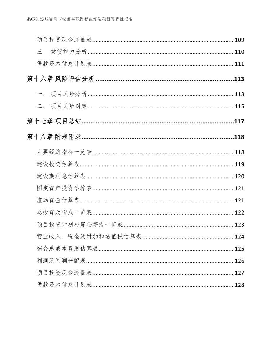 湖南车联网智能终端项目可行性报告范文参考_第5页