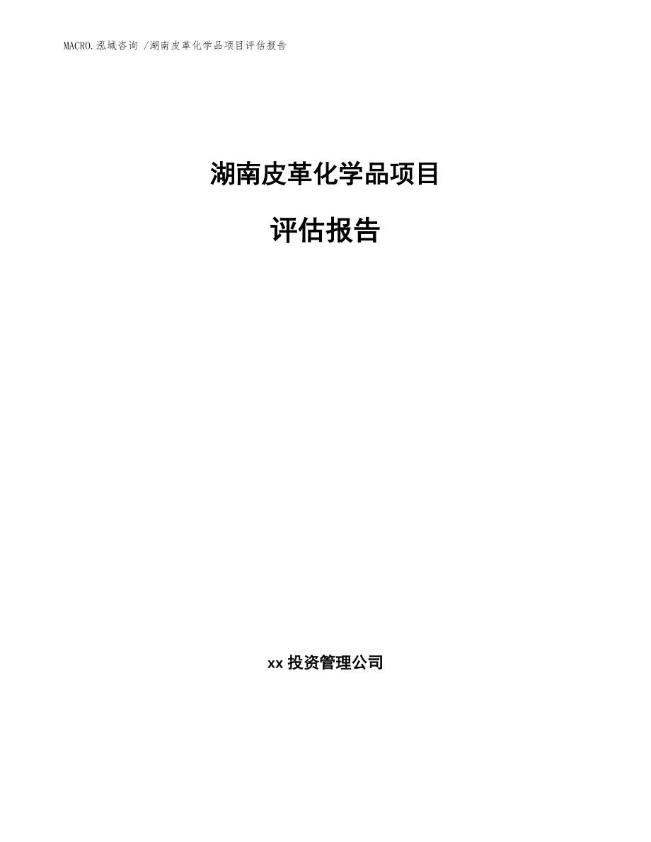 湖南皮革化学品项目评估报告_参考范文_第1页