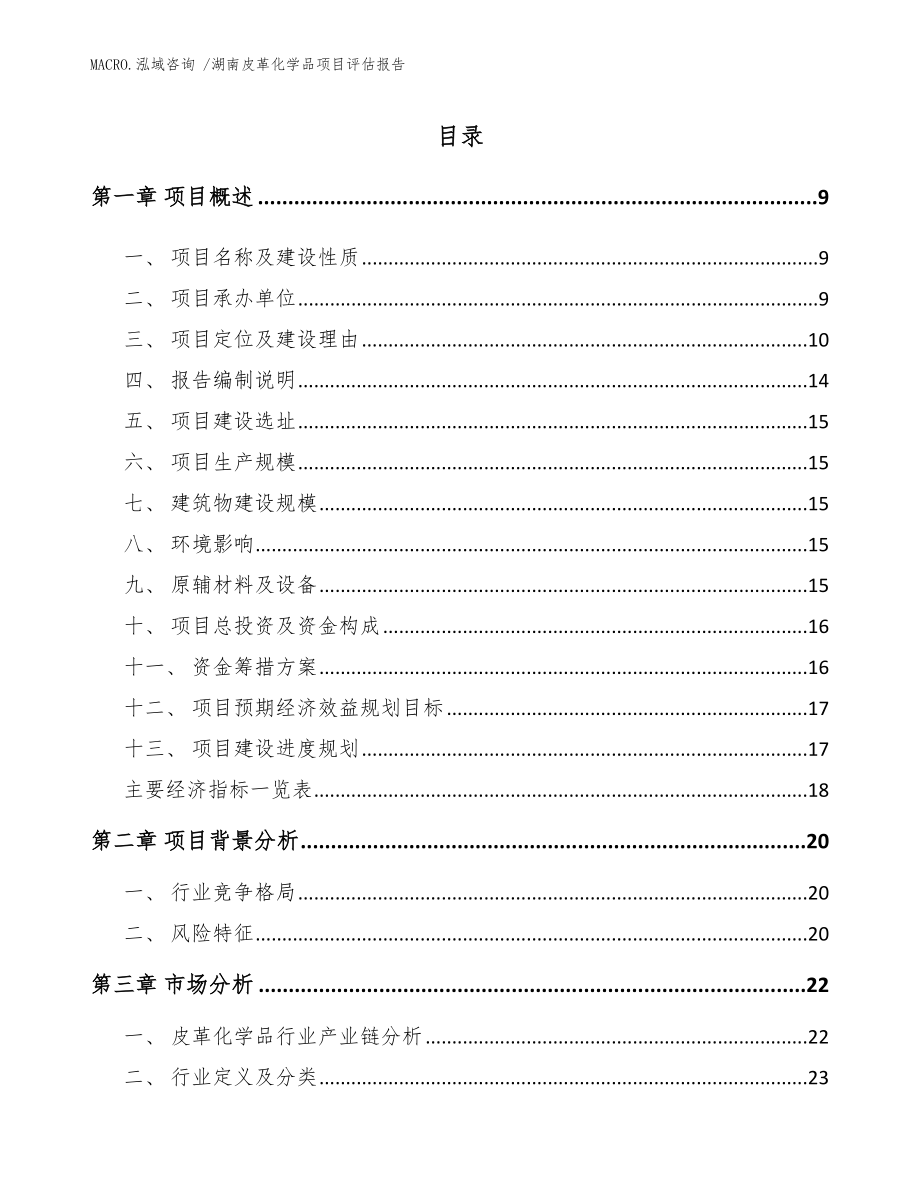 湖南皮革化学品项目评估报告_参考范文_第2页