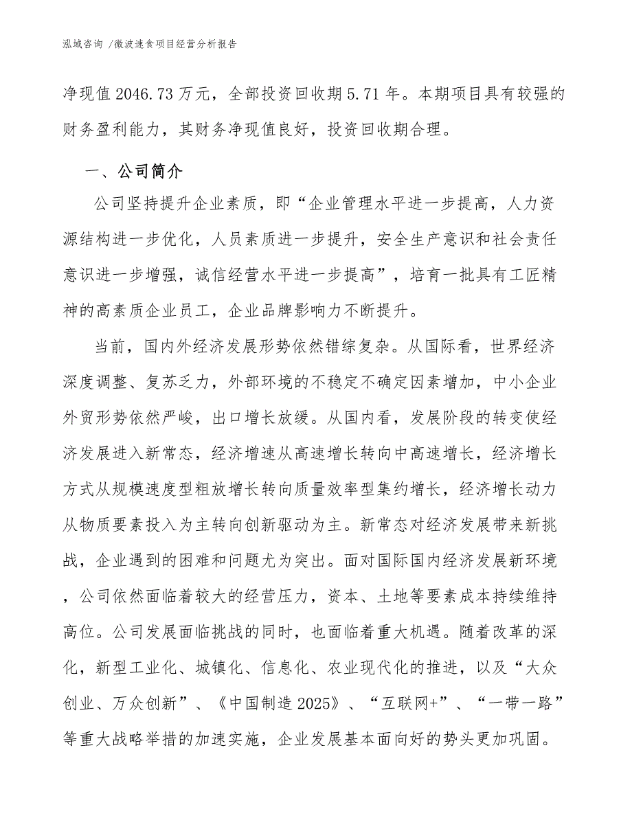 微波速食项目经营分析报告（模板范本）_第3页