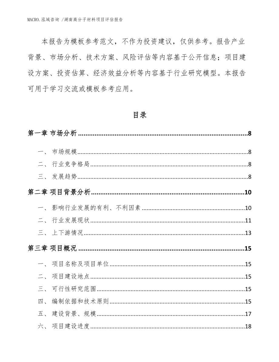 湖南高分子材料项目评估报告_模板_第2页
