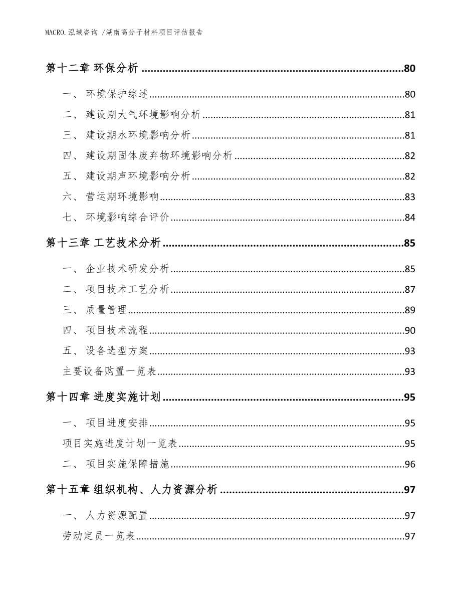 湖南高分子材料项目评估报告_模板_第5页