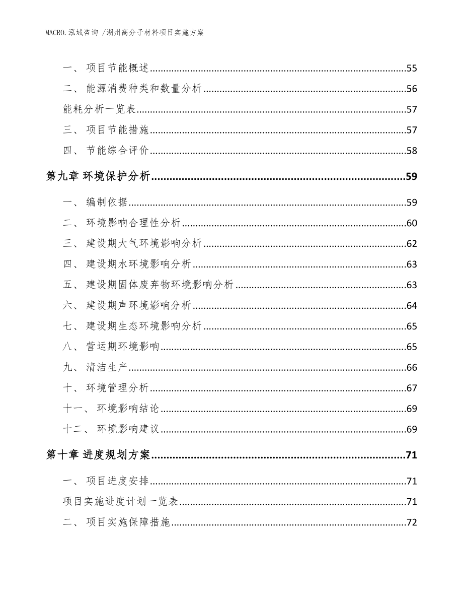 湖州高分子材料项目实施方案（模板）_第4页